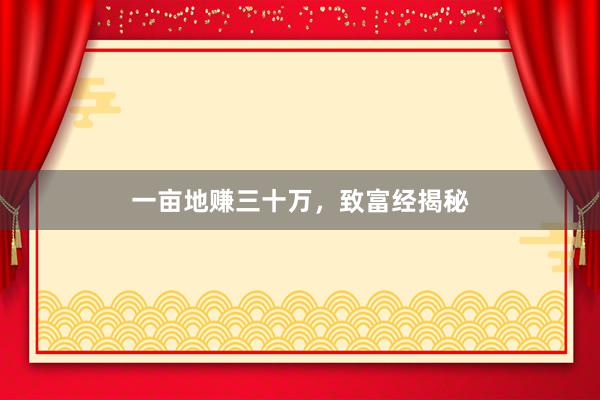 一亩地赚三十万，致富经揭秘