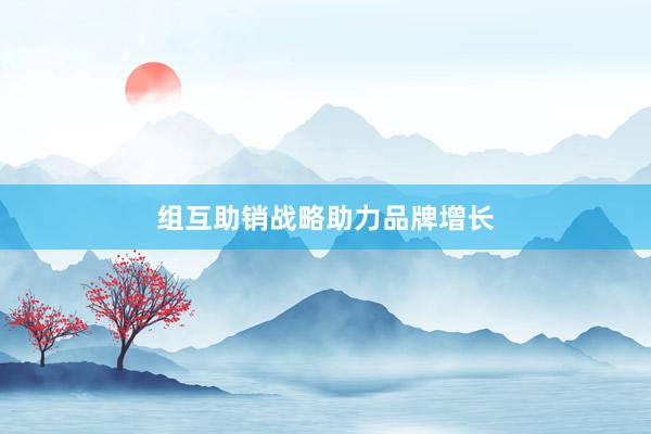 组互助销战略助力品牌增长
